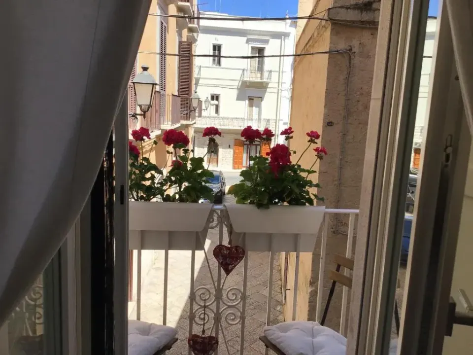 Photo 10 of 10, Palazzo Massari Bari