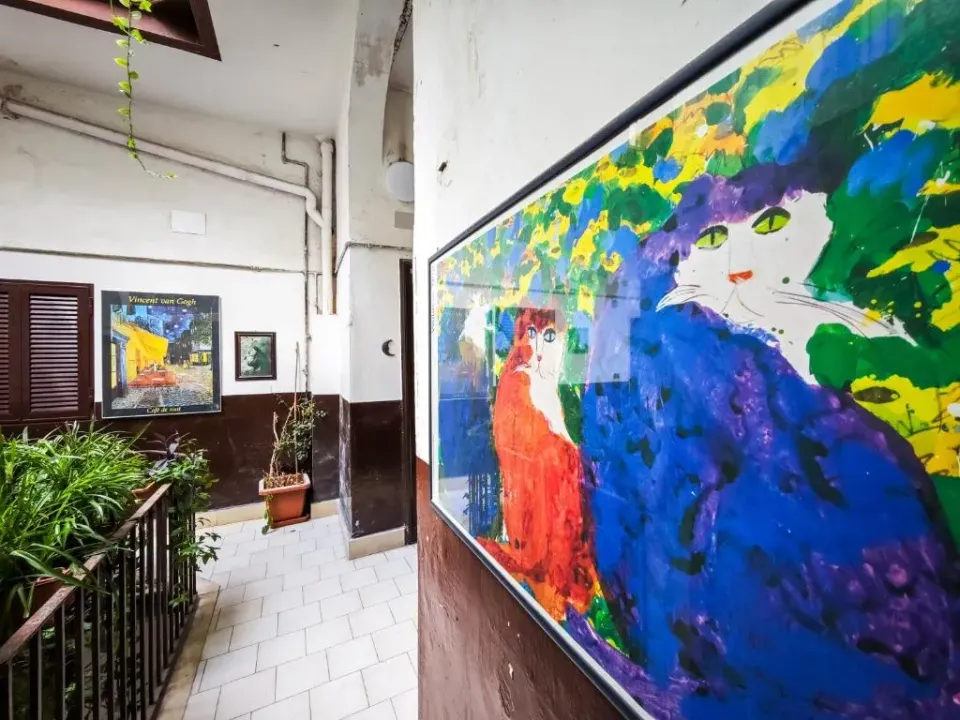 Photo 4 of 10, Amazing House